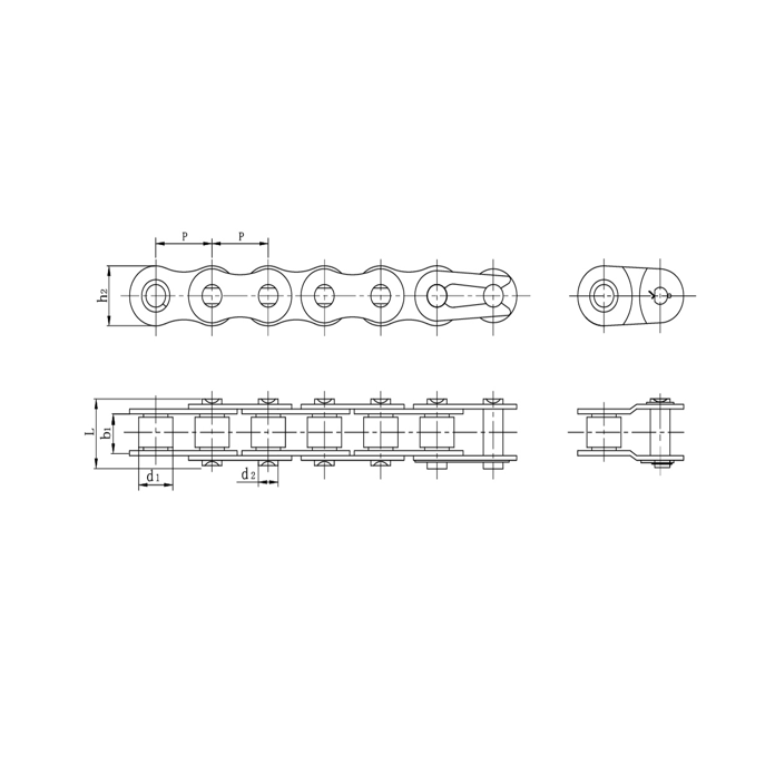 Catene a rulli di precisione a passo corto in acciaio inox