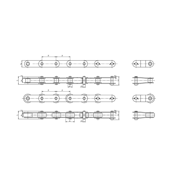 Catene di trasporto a doppio passo in acciaio inox