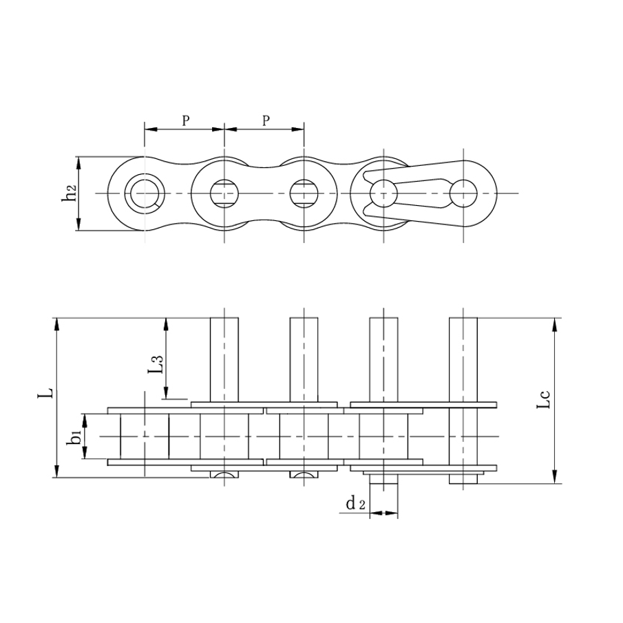 Perni estesi delle catene di trasporto a passo corto