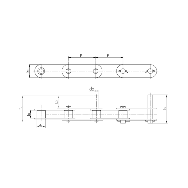 Catene di trasporto a doppio passo in acciaio inox con perni prolungati