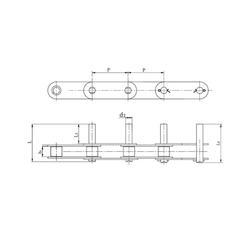 Catene di trasporto a passo doppio con perni prolungati