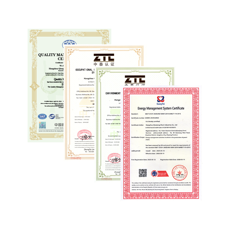 Hangzhou Qianjiang Chain Industries Co., Ltd. ha superato la certificazione annuale del sistema